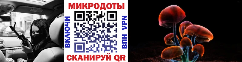Псилоцибиновые грибы Psilocybe  Красный Кут 